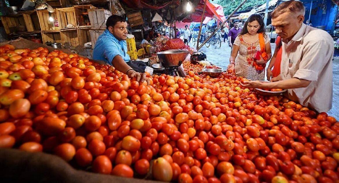 tomato rate india
