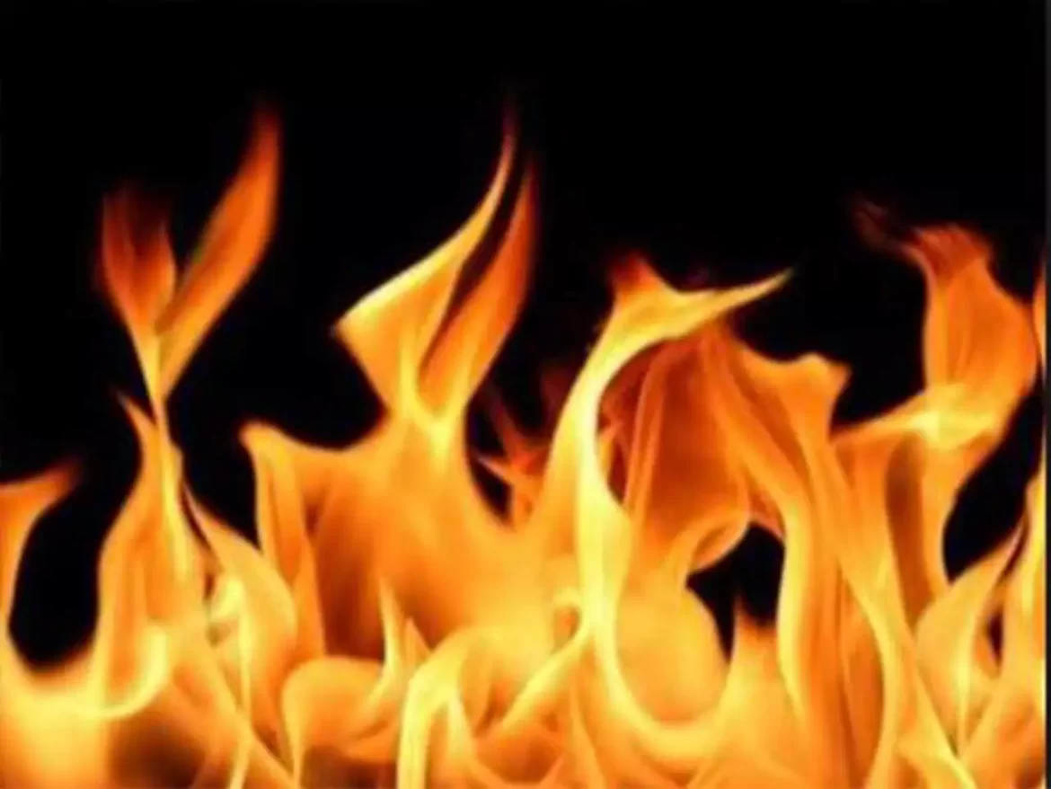 The man burned his own house in Rajasthan's Alwar, News Inside