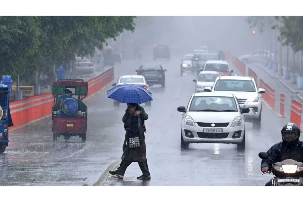 Gujarat rain prediction by IMD, News Inside