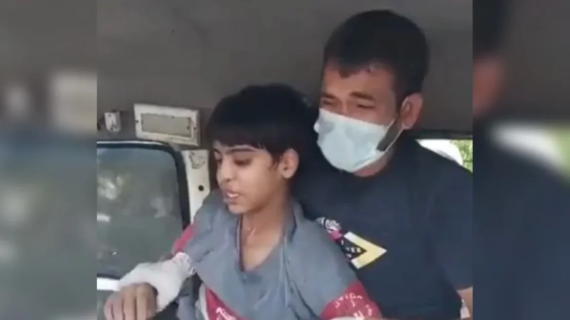 boy died due to rabies in Uttar Pradesh, News Inside