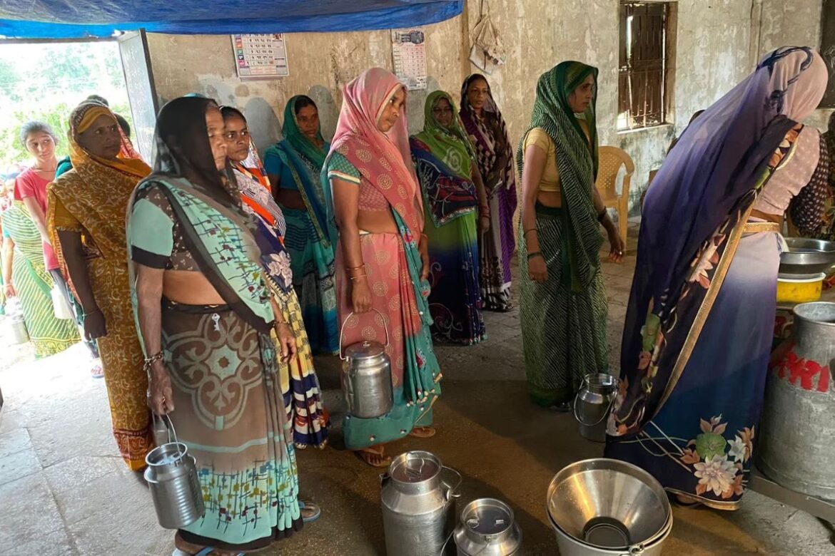 Milk Society run by women only, News Inside