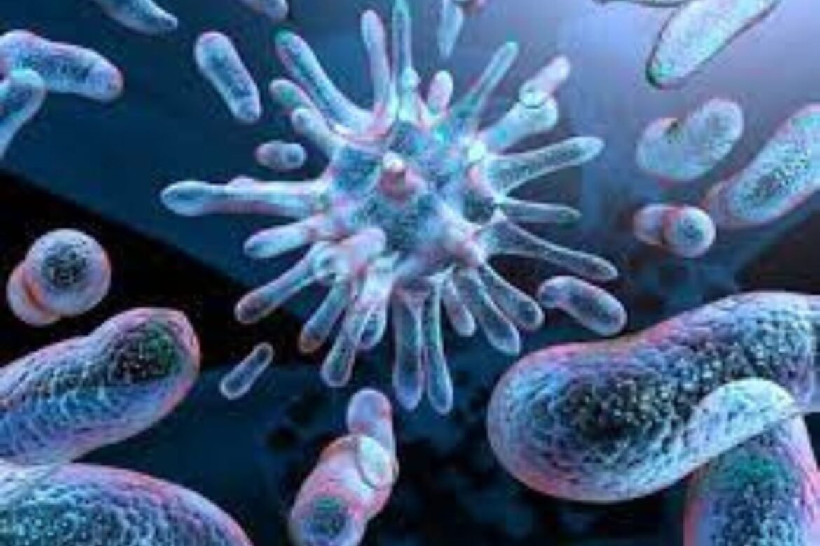 Increased virus risk in children, News Inside